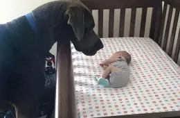 Screenshot 2025 06 11 At 11.04.50 Pm